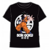 CAMISETA DRAGON BALL GOKU JAPONES XXL