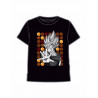 CAMISETA DRAGON BALL GOKU POWER L