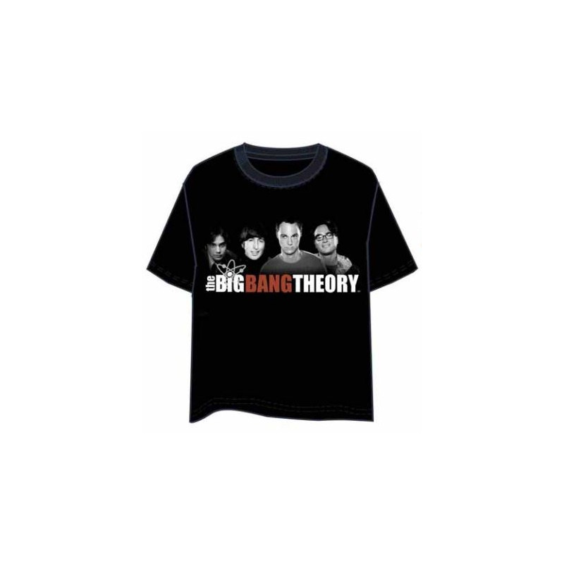 CAMISETA BIG BANG THEORY GROUP M