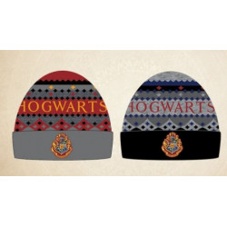 GORRO ADULTO HARRY POTTER...