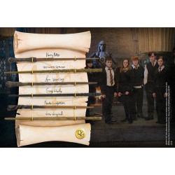 VARITAS HARRY POTTER EJERCITO DE DUMBLEDORE