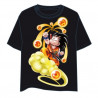 CAMISETA DRAGON BALL BOLAS L