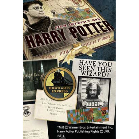 COFRE ARTEFACTO HARRY POTTER (HARRY)