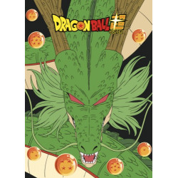 MANTA POLAR DRAGON BALL 024...