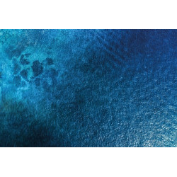 TAPETE KRAKEN OCEAN SURFACE 182 X 121 CM