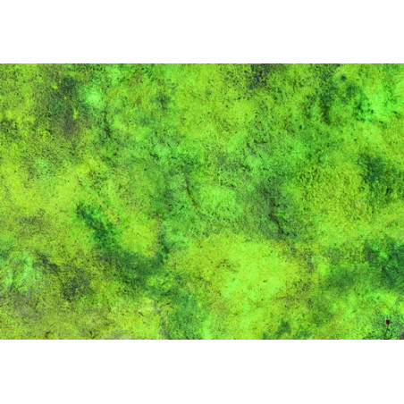 TAPETE KRAKEN GRASS PLAIN 111 X 76 CM