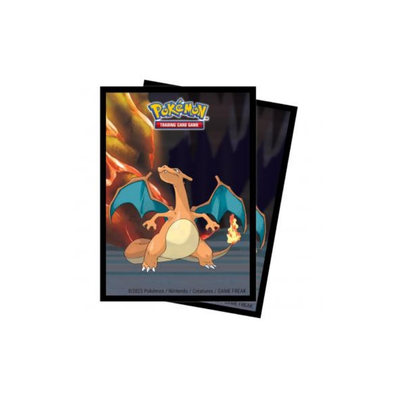 UP FUNDA POKEMON CHARIZARD (65)